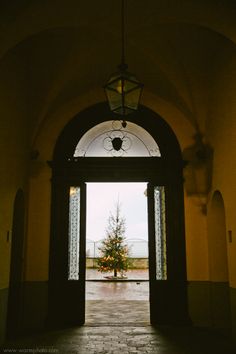 an open door with a christmas tree in the center and lights hanging from it's sides