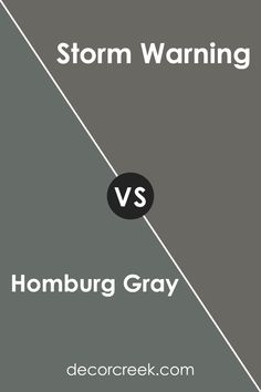 the cover for storm warning versus by hombburg gray