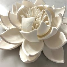 a large white flower sitting on top of a table