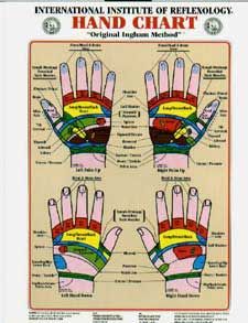 Ingham Reflexology Charts http://www.reflexology-usa.net/ Eunice Ingham is considered the mother of reflexology, her nephew carries on her legacy and professionalism through her method of study at the International School of Reflexology / Florida Reflexology Foot Chart, Hand Reflexology, Reflexology Chart, Anatomy Models, Reflexology Massage, Self Massage, Social Media Schedule, Foot Health