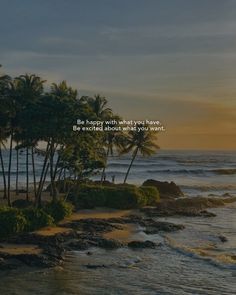 the sun is setting behind some palm trees on the beach with an ocean in the background