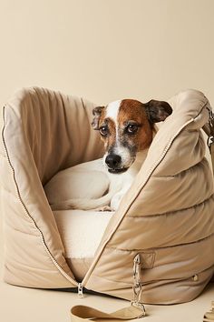 a dog is sitting in its bed on the floor