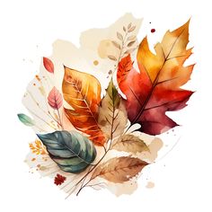 watercolor fall leaves on white background