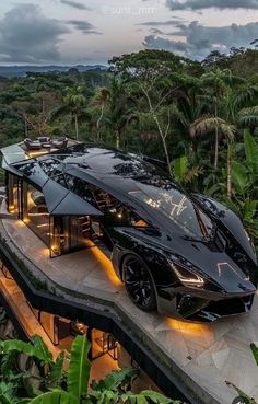 a black car parked on top of a roof in the middle of some tropical trees