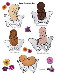 four different types of babies sitting on their stomachs, with flowers in the background