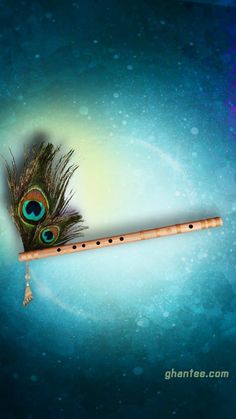 a musical instrument with a peacock feather on it's side and a blue background