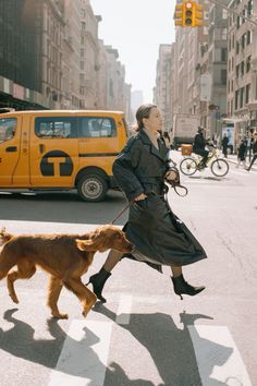 a woman is walking her dog across the street