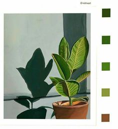 a painting of a potted plant on a window sill with the shadow of a leaf