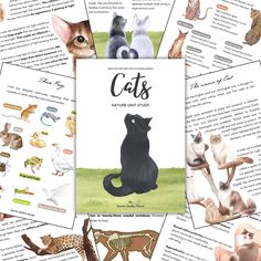 an illustrated book with cats and other animals on it's cover, surrounded by pages