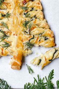 a pastry shaped like a christmas tree on top of snow covered ground next to evergreen branches