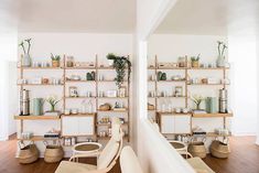 a living room filled with lots of furniture and shelves full of plants on top of them