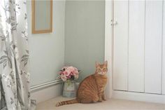 an orange cat sitting on the floor next to a vase with flowers