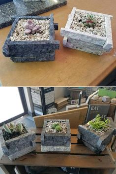 two pictures show different types of succulents and plants in boxes on a table