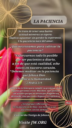 a red tulip with the words la pacincia written in spanish