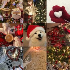 a collage of photos with christmas decorations, hats, and other things in them