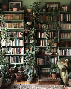 a living room filled with lots of green bookshelves covered in plants and potted plants