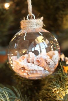 an ornament hanging from a christmas tree filled with seashells and starfish