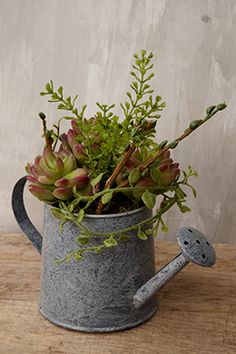 a plant in a watering can with a hammer on the table next to it,