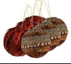 two pieces of fruit with brown and red feathers on top of them, hanging from strings