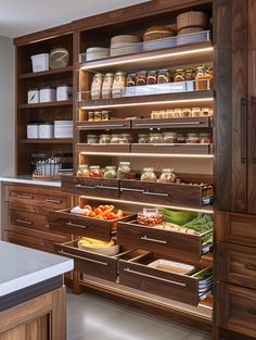 an organized kitchen pantry with lots of food in the drawer and shelves full of containers