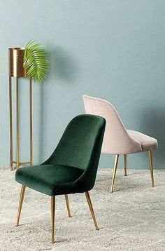 two chairs in front of a blue wall with a potted plant next to it