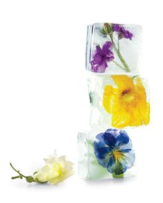 three different colored flowers on ice cubes with one flower in the middle and another flower in the back