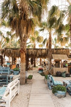 the beach is lined with palm trees and lounge chairs, which are all covered in blue cushions