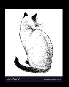 a black and white drawing of a cat