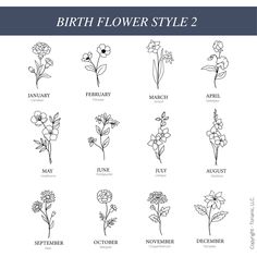 the different types of flowers that are in each flower type, and how to use them