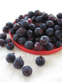 blueberries are in a red bowl on a white tablecloth next to other berries