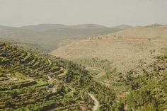 an aerial view of a valley with trees in the foreground and mountains in the background