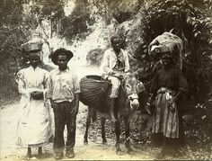 three people standing next to each other with a donkey in the foreground and trees in the background