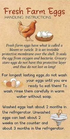 the instructions for how to make fresh farm eggs