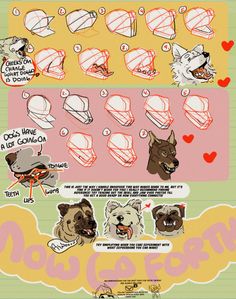 an illustrated poster with different types of dogs and cats on it's back side