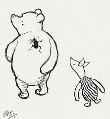 an ink drawing of a bear and a cat