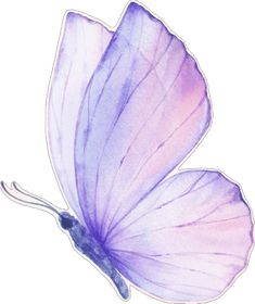 a watercolor drawing of a purple butterfly