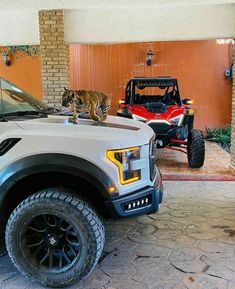 a white truck with a tiger on the hood parked in front of a house next to a red jeep