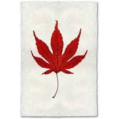 a red maple leaf on a white background