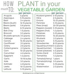 how to plant in your vegetable garden