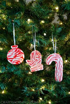 three candy cane ornaments hanging from a christmas tree