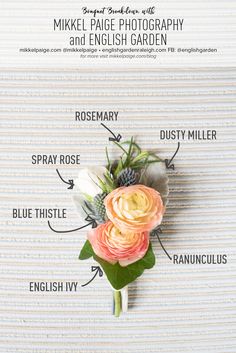 the parts of a flower on a white background with text above it that says, mikii pagige photography and english garden