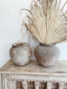 two vases sitting on top of a wooden table with dried grass in the middle