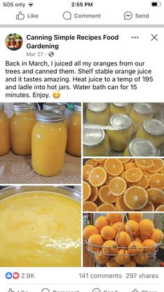 an instagram page with oranges and jars on the bottom right hand corner, which is filled with orange juice