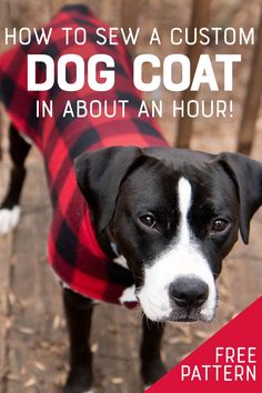 a black and white dog wearing a red plaid coat with the words how to sew a custom dog coat in about an hour