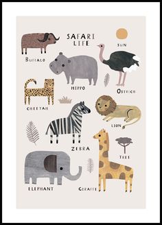 a poster with different animals and names in black framed frame on white wall above it is an elephant, giraffe, zebra, bird, ostrich, lion, cheeta