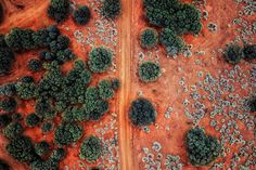 an aerial view of trees and dirt roads