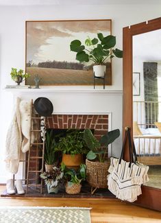 a living room filled with lots of plants next to a fire place