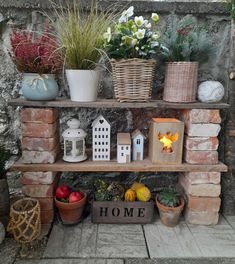 a shelf filled with potted plants on top of a stone wall