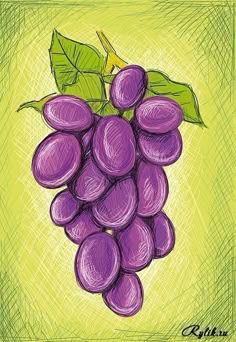 a drawing of a bunch of grapes with green leaves on the top and bottom, against a yellow background