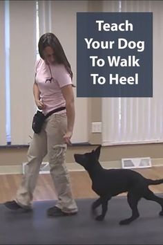 a woman walking with a black cat on the floor and text teach your dog to walk to heel